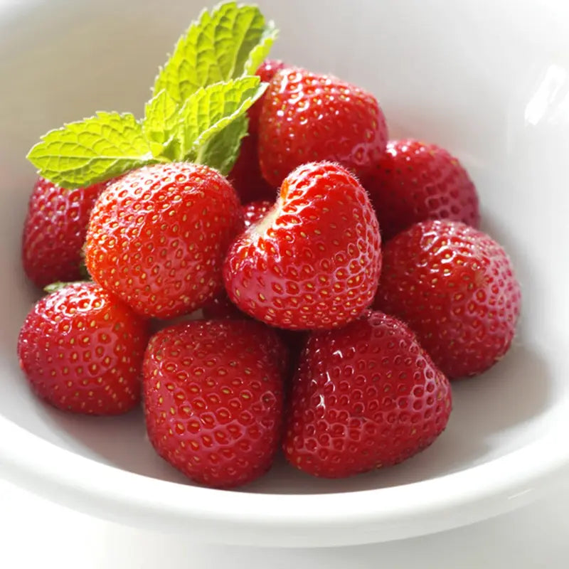 13123 Jordbær FROST (Erdbeeren)